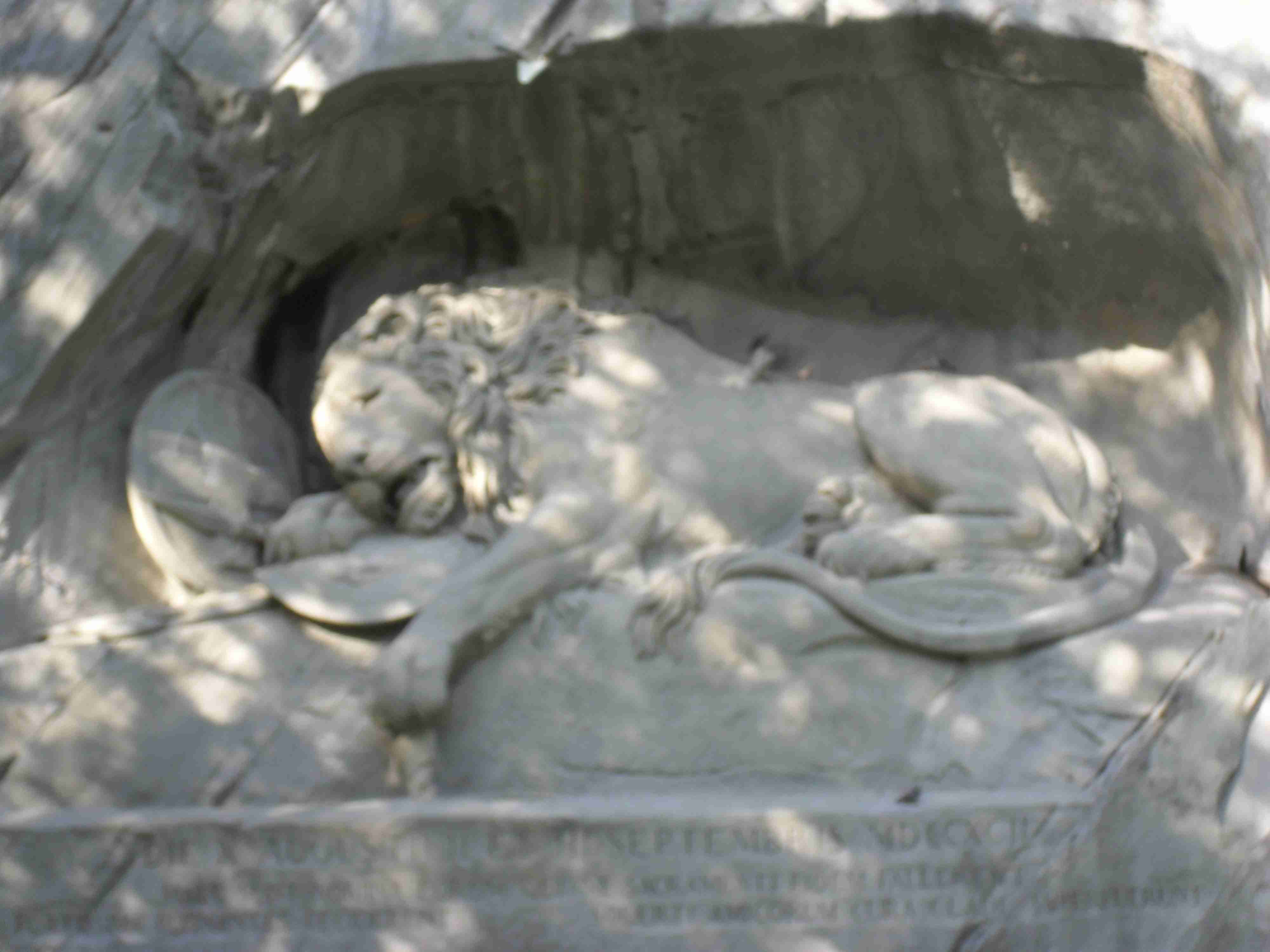 lucerne_lion